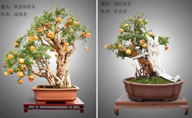 星空體育平臺(tái)：會(huì)員周報(bào)：2024中國(guó)攀巖自然巖壁系列賽華山圓滿落幕；黃山風(fēng)景區(qū)宣布打造國(guó)內(nèi)首個(gè)“全程AI伴游”景區(qū)(圖5)